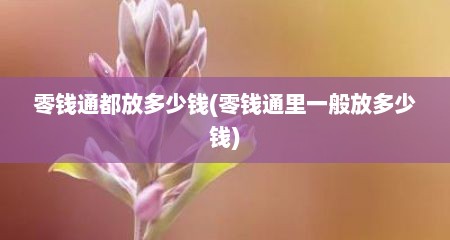 零钱通都放多少钱(零钱通里一般放多少钱)