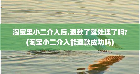 淘宝里小二介入后,退款了就处理了吗?(淘宝小二介入能退款成功吗)