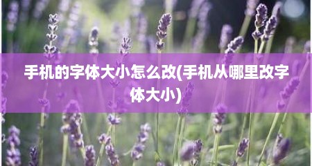 手机的字体大小怎么改(手机从哪里改字体大小)