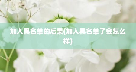 加入黑名单的后果(加入黑名单了会怎么样)