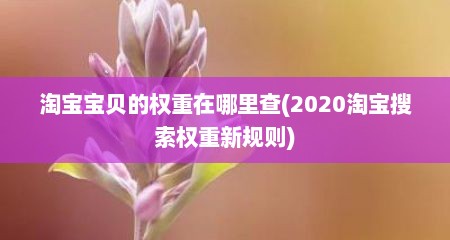 淘宝宝贝的权重在哪里查(2020淘宝搜索权重新规则)