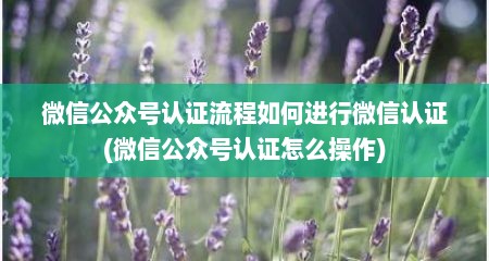 微信公众号认证流程如何进行微信认证(微信公众号认证怎么操作)