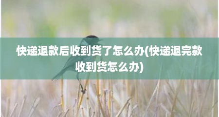 快递退款后收到货了怎么办(快递退完款收到货怎么办)
