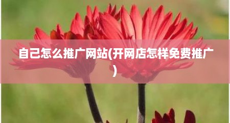 自己怎么推广网站(开网店怎样免费推广)