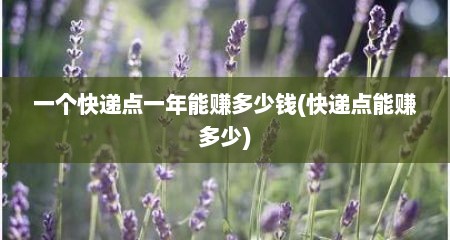 一个快递点一年能赚多少钱(快递点能赚多少)