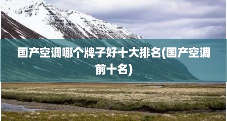 国产空调哪个牌子好十大排名(国产空调前十名)