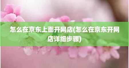 怎么在京东上面开网店(怎么在京东开网店详细步骤)