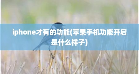 iphone才有的功能(苹果手机功能开启是什么样子)