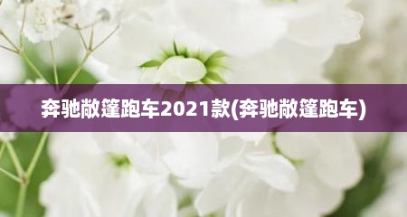 奔驰敞篷跑车2021款(奔驰敞篷跑车)