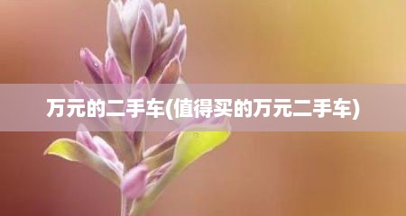 万元的二手车(值得买的万元二手车)