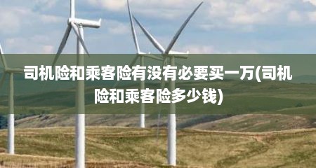 司机险和乘客险有没有必要买一万(司机险和乘客险多少钱)