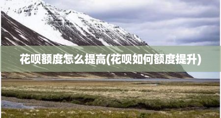 花呗额度怎么提高(花呗如何额度提升)