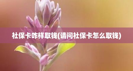 社保卡咋样取钱(请问社保卡怎么取钱)