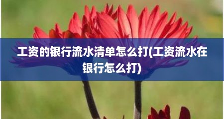 工资的银行流水清单怎么打(工资流水在银行怎么打)
