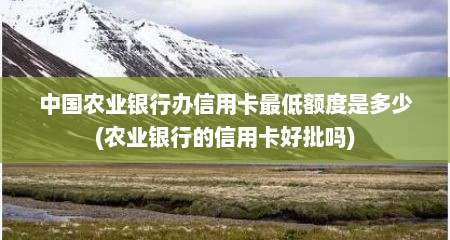 中国农业银行办信用卡最低额度是多少(农业银行的信用卡好批吗)