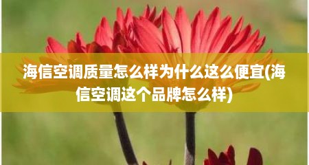 海信空调质量怎么样为什么这么便宜(海信空调这个品牌怎么样)