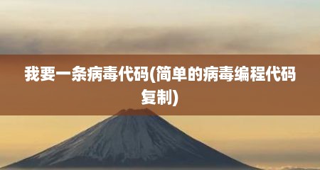 我要一条病毒代码(简单的病毒编程代码复制)