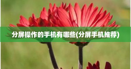 分屏操作的手机有哪些(分屏手机推荐)