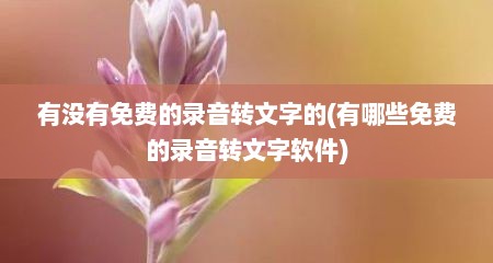 有没有免费的录音转文字的(有哪些免费的录音转文字软件)