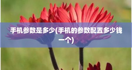 手机参数是多少(手机的参数配置多少钱一个)