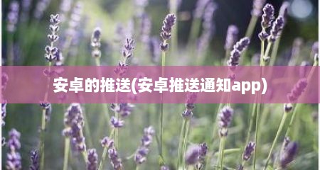 安卓的推送(安卓推送通知app)