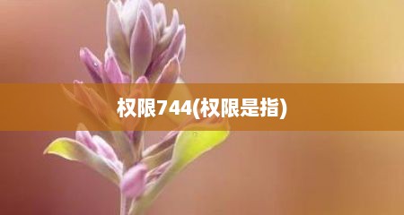 权限744(权限是指)