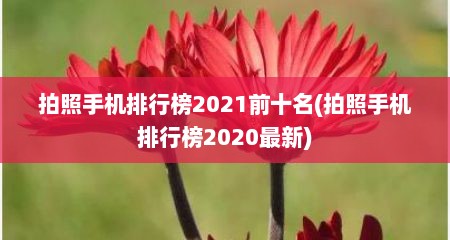 拍照手机排行榜2021前十名(拍照手机排行榜2020最新)
