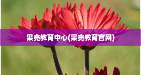 果壳教育中心(果壳教育官网)