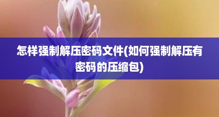 怎样强制解压密码文件(如何强制解压有密码的压缩包)