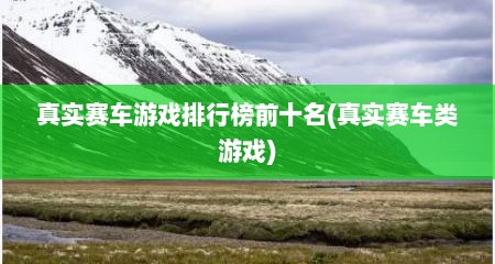 真实赛车游戏排行榜前十名(真实赛车类游戏)