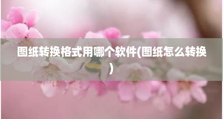 图纸转换格式用哪个软件(图纸怎么转换)