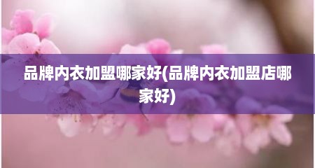 品牌内衣加盟哪家好(品牌内衣加盟店哪家好)