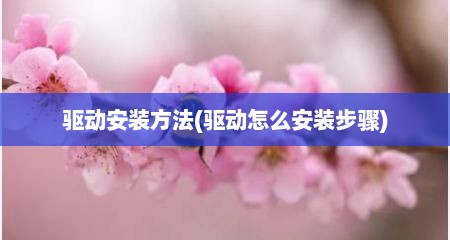 驱动安装方法(驱动怎么安装步骤)