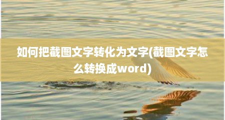 如何把截图文字转化为文字(截图文字怎么转换成word)
