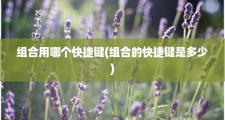 组合用哪个快捷键(组合的快捷键是多少)