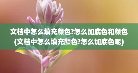 文档中怎么填充颜色?怎么加底色和颜色(文档中怎么填充颜色?怎么加底色呢)