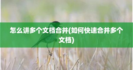 怎么讲多个文档合并(如何快速合并多个文档)