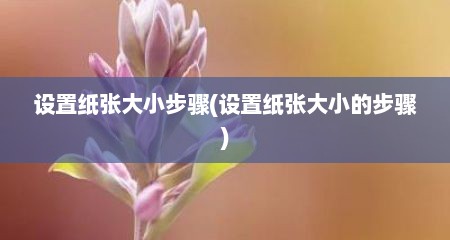 设置纸张大小步骤(设置纸张大小的步骤)