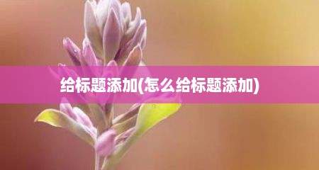 给标题添加(怎么给标题添加)