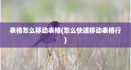表格怎么移动表格(怎么快速移动表格行)