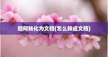 如何转化为文档(怎么转成文档)