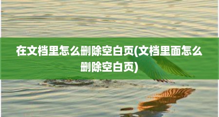 在文档里怎么删除空白页(文档里面怎么删除空白页)