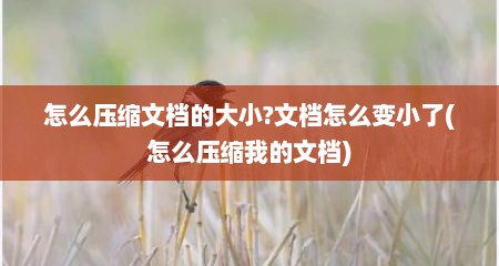 怎么压缩文档的大小?文档怎么变小了(怎么压缩我的文档)