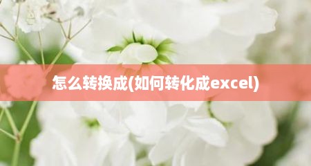 怎么转换成(如何转化成excel)