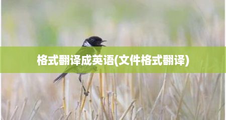 格式翻译成英语(文件格式翻译)