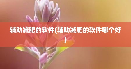 辅助减肥的软件(辅助减肥的软件哪个好)