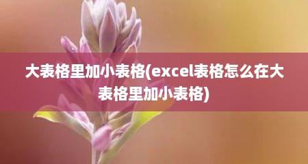 大表格里加小表格(excel表格怎么在大表格里加小表格)