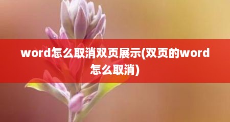 word怎么取消双页展示(双页的word怎么取消)