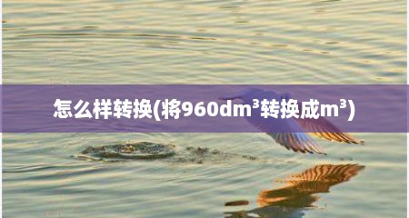 怎么样转换(将960dm³转换成m³)