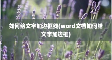 如何给文字加边框线(word文档如何给文字加边框)